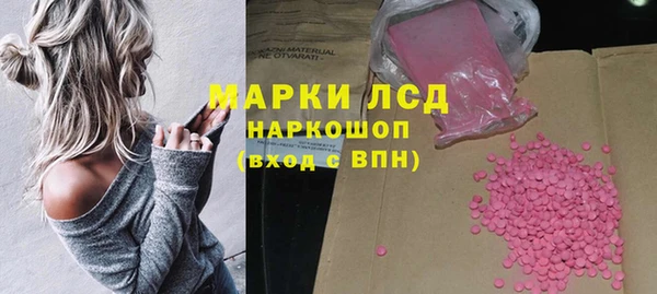 PSILOCYBIN Баксан