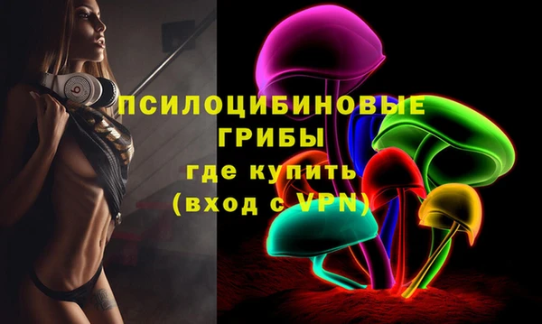 PSILOCYBIN Баксан