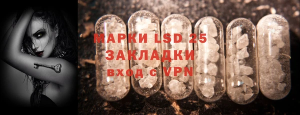 PSILOCYBIN Баксан