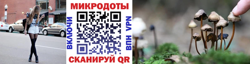 купить Горбатов Псилоцибиновые грибы MAGIC MUSHROOMS
